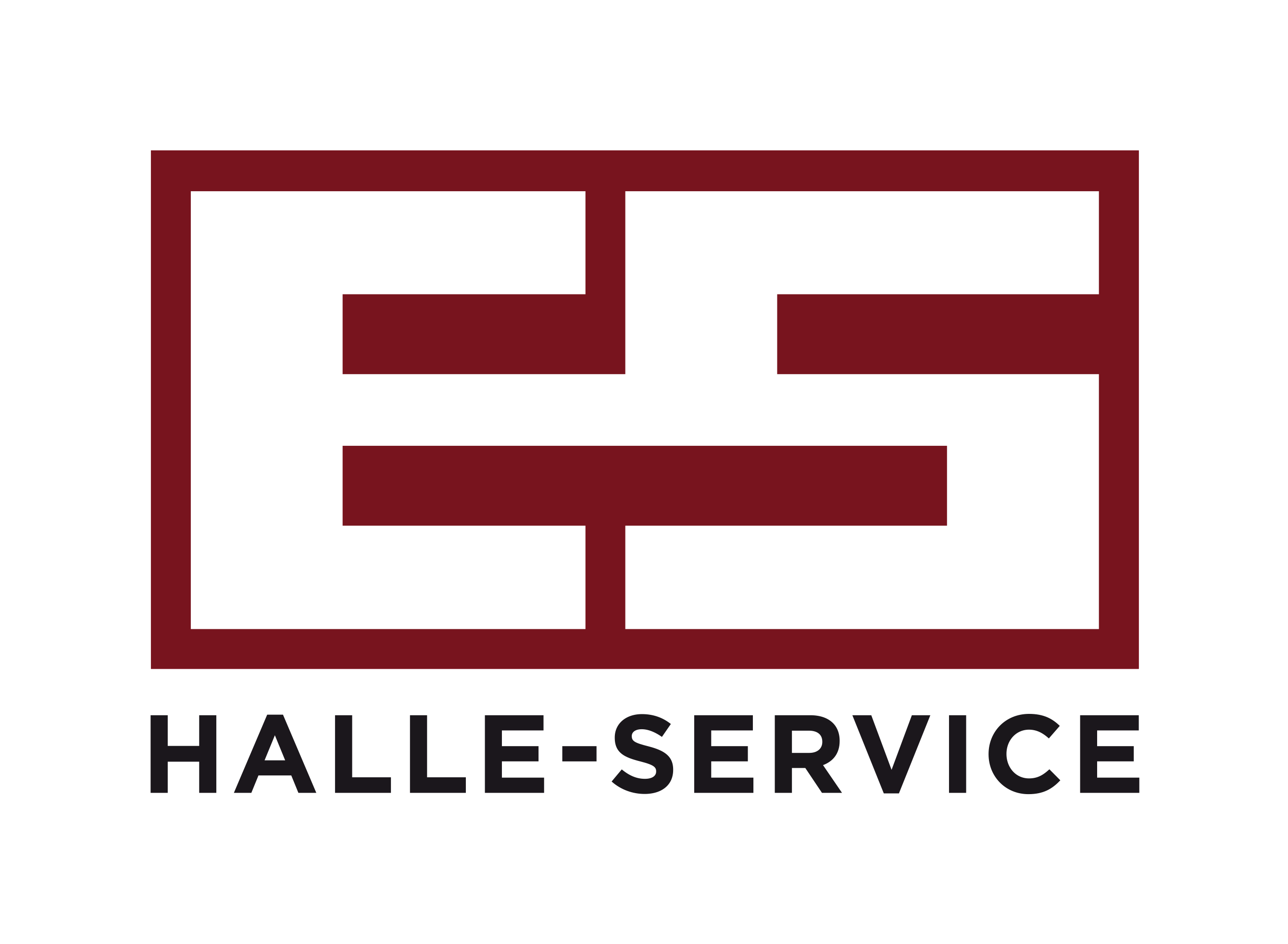 Halle-Service-Immobilien - Saalebulls Sponsor