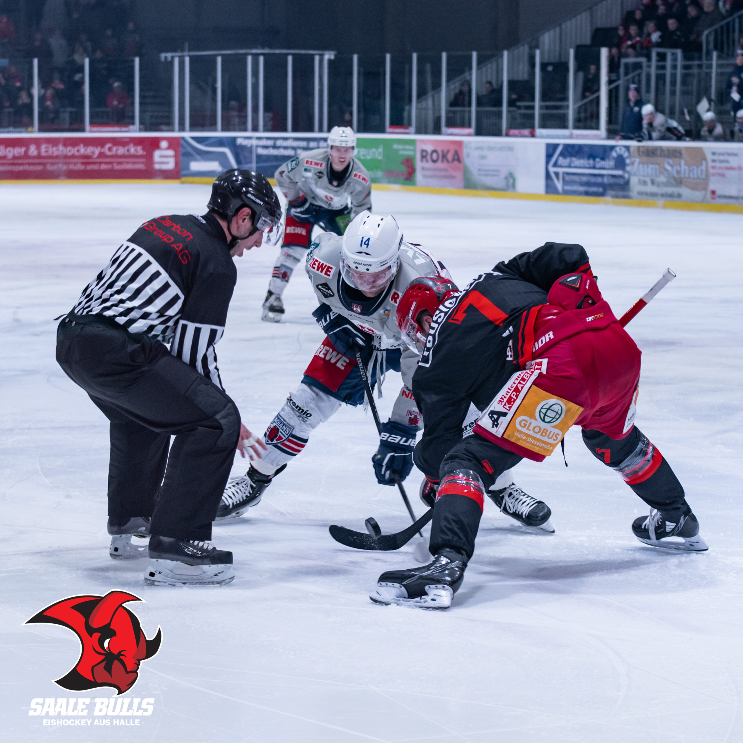 Saale Bulls - Hannover Indians 20.11.2022