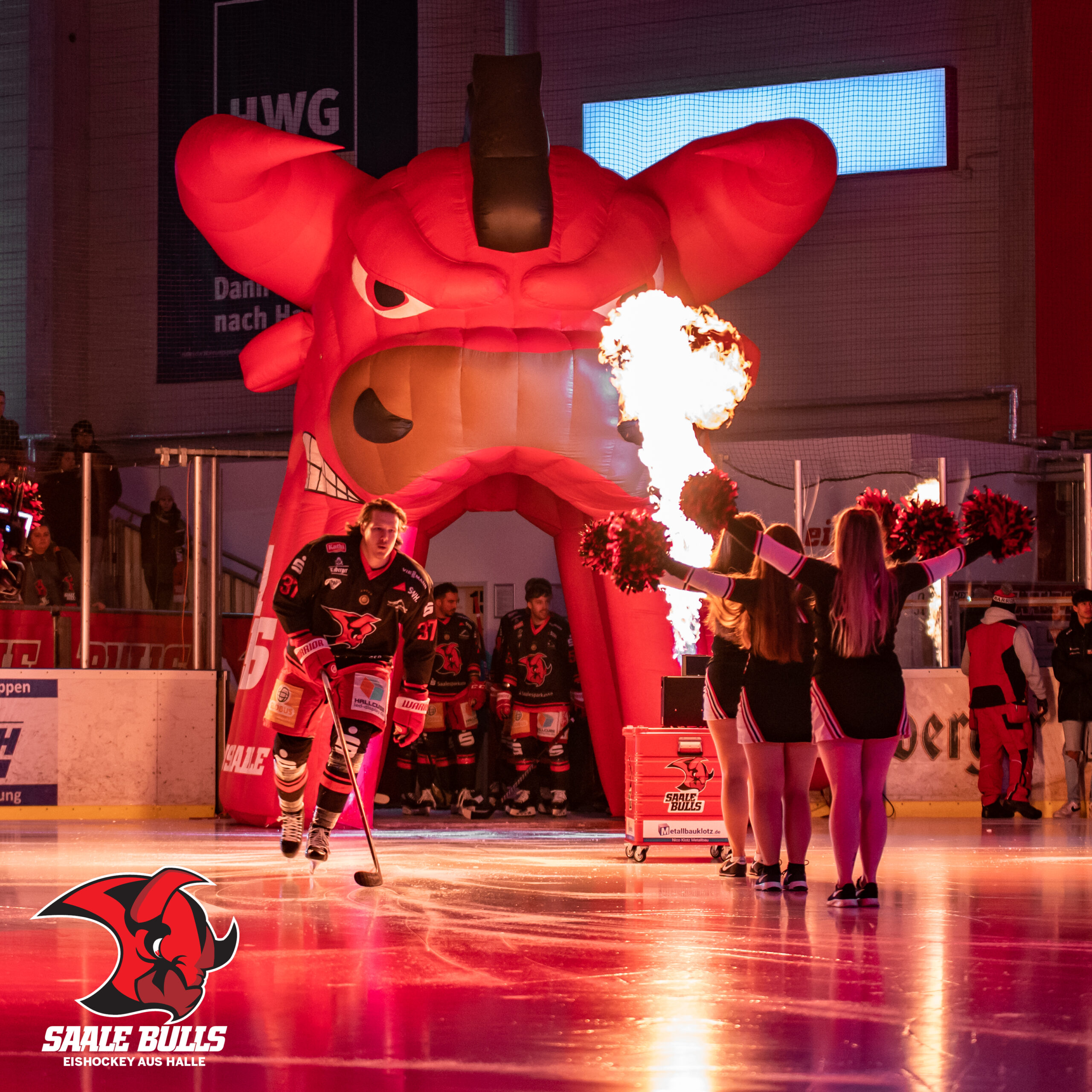 Saale Bulls - Hannover Indians 20.11.2022