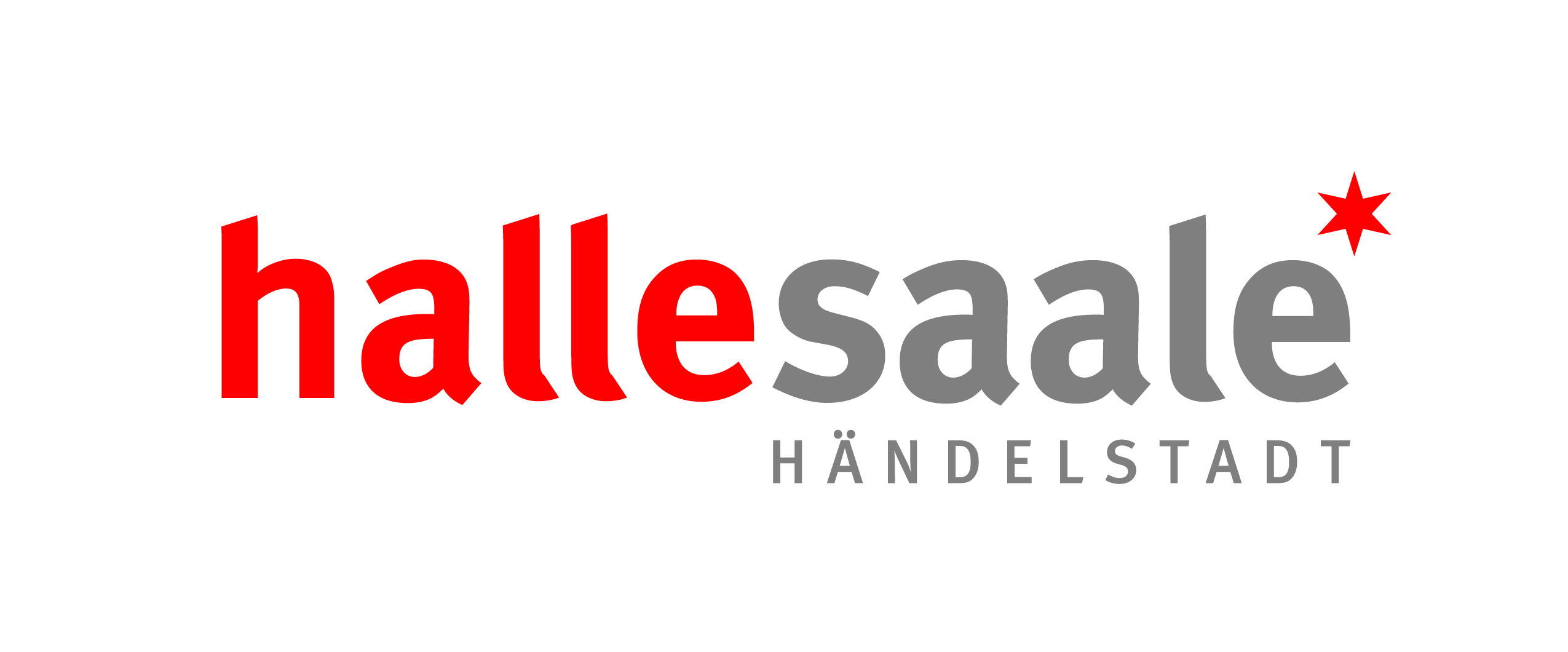 stadt-halle - Saalebulls Partner