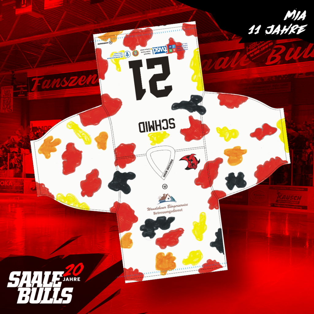 Maillot Shirt Trikot De Hockey Sur Glace Young Saale Bulls N°22