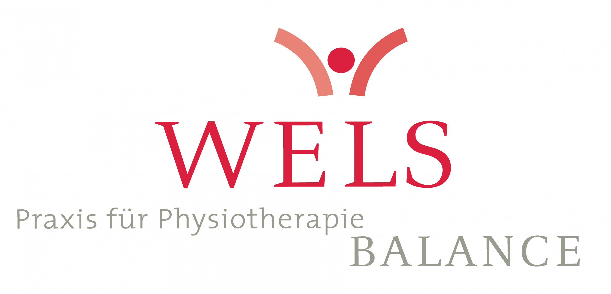 wels - Saalebulls Partner